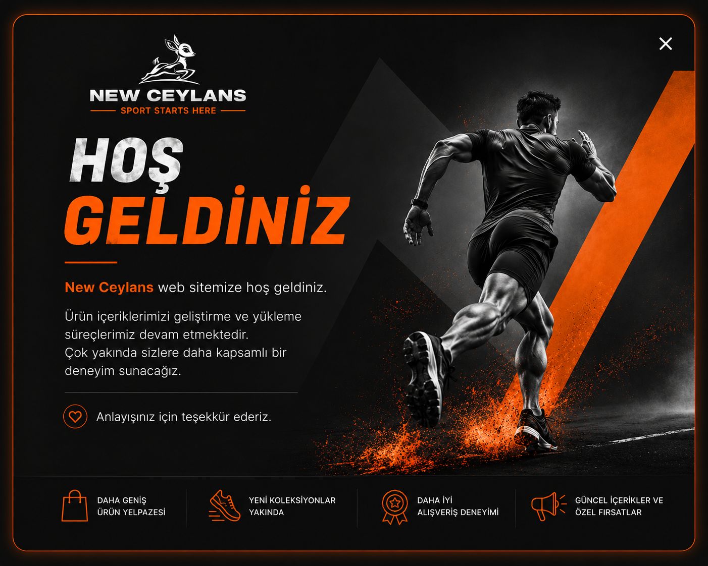 Hoş Geldiniz - New Ceylans